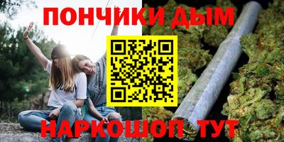 индика Кулебаки