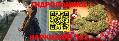 индика Кулебаки